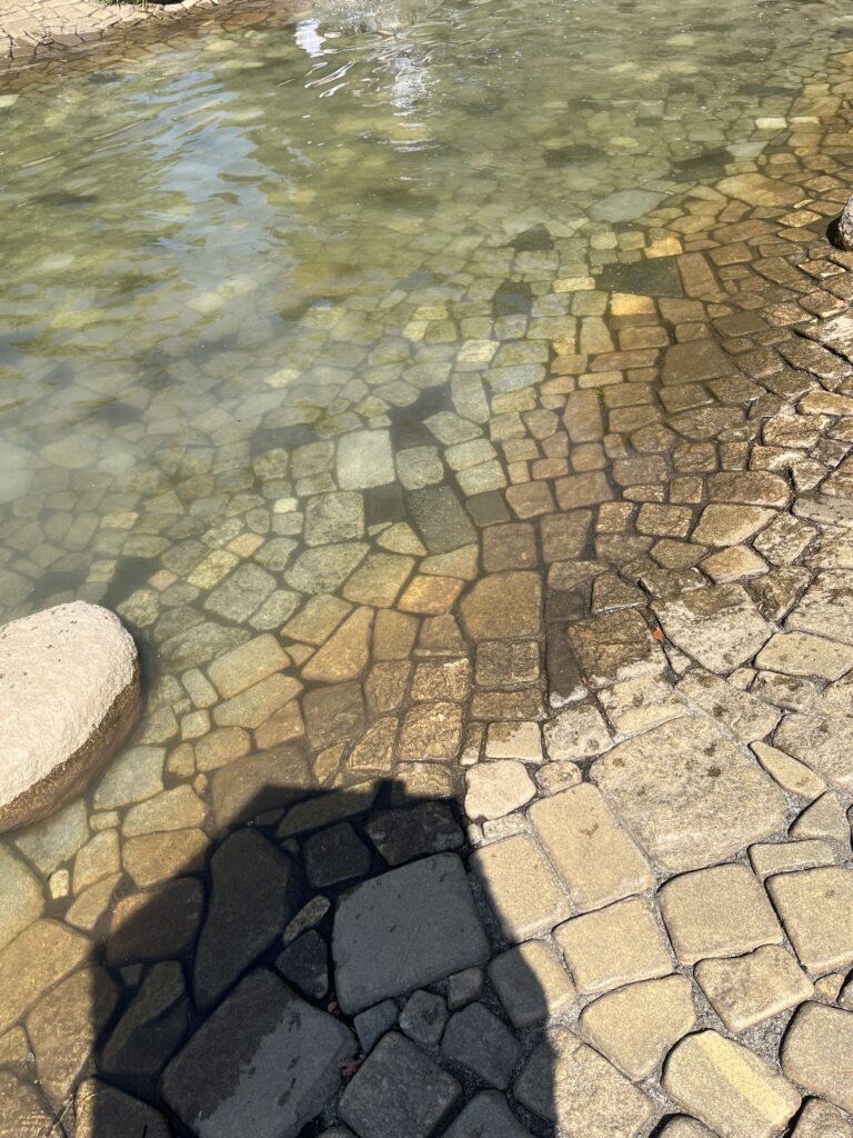 平塚市総合公園の水遊び場（じゃぶじゃぶ池）の写真です。水の色が少し緑色です。